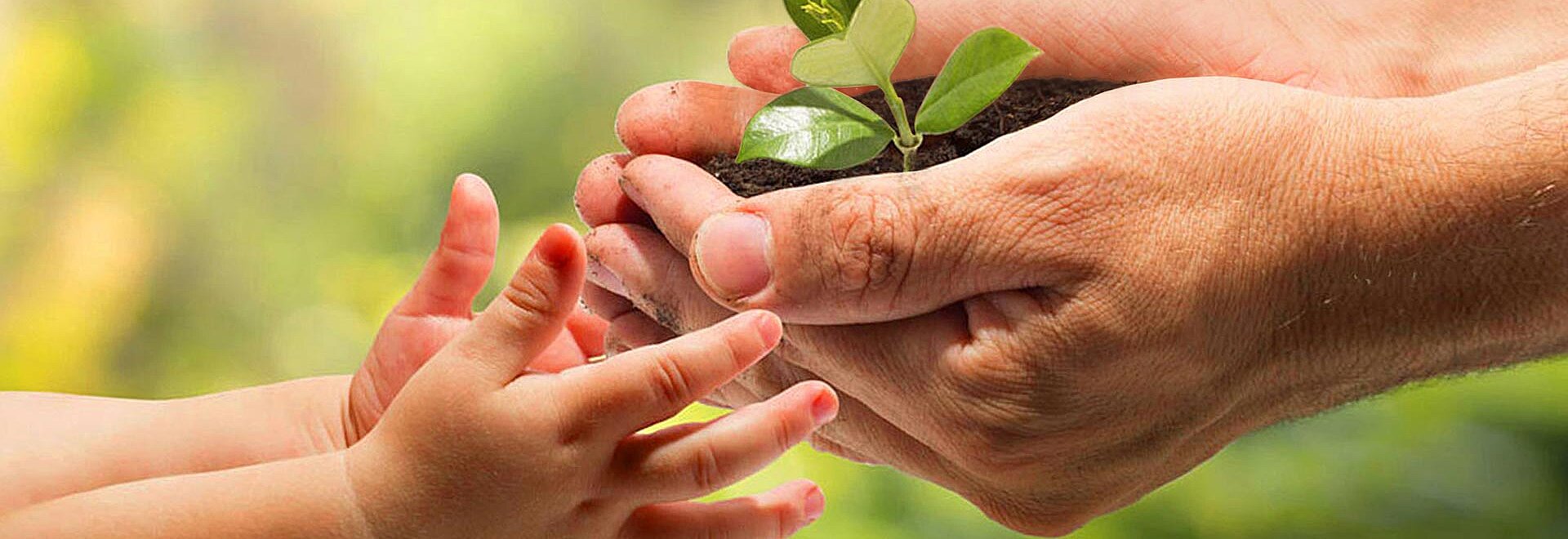 [Translate to Englisch:]