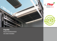 Flyer Blitz Verdeck